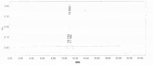 BSA Conjugated Mouse Amylin
