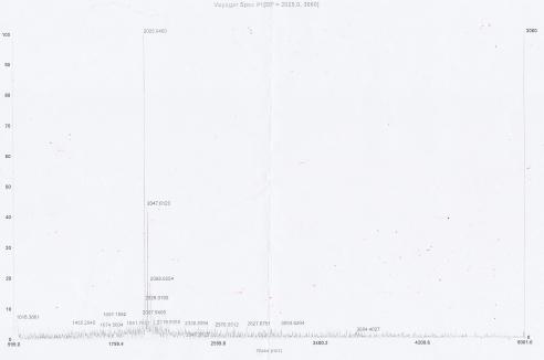 OVA Conjugated Rat Von Willebrand Factor (vWF)