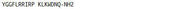 OVA Conjugated Big Dynorphin (Dyn), RPU50172