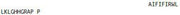 OVA Conjugated Salusin Beta (SALb), RPU50207