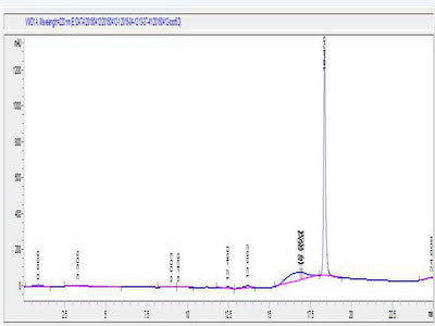 OVA Conjugated Human Chemokine C-X-C-Motif Receptor 6 (CXCR6)