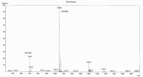 OVA Conjugated Bovine Procollagen II C-Terminal Propeptide (PIICP)
