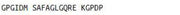 OVA Conjugated Procollagen II C-Terminal Propeptide (PIICP), RPU50220