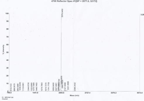 KLH Conjugated Rat N-Terminal Pro-Brain Natriuretic Peptide (NT-ProBNP)