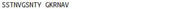 KLH Conjugated Amylin, RPU50224