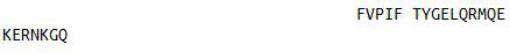 OVA Conjugated Motilin (MTL), RPU50232