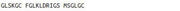 OVA Conjugated C-Type Natriuretic Peptide (CNP), RPU50234