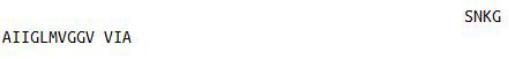 KLH Conjugated Amyloid Beta Peptide 1-42 (Ab1-42), RPU50236