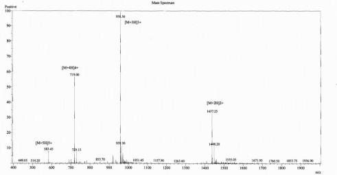 OVA Conjugated Rat Urocortin 2 (UCN2)