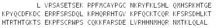 Recombinant Wilms Tumor Protein (WT1), RPU50316