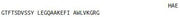 OVA Conjugated Glucagon Like Peptide 1 (GLP1), RPU50318