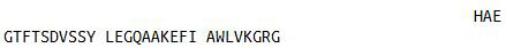 OVA Conjugated Glucagon Like Peptide 1 (GLP1), RPU50318