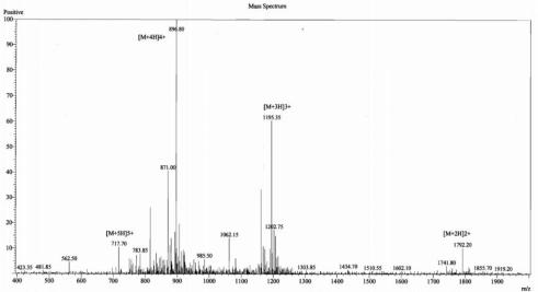 OVA Conjugated Human Orexin A (OXA)