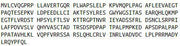 Recombinant Cytokine Inducible SH2 Containing Protein (CISH), RPU50333