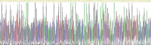 Recombinant Human Cytokine Inducible SH2 Containing Protein (CISH)