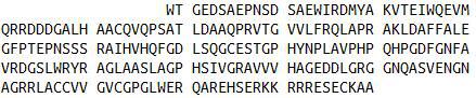 Recombinant Superoxide Dismutase 3, Extracellular (SOD3), RPU50349