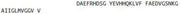 OVA Conjugated Amyloid Beta Peptide 1-40 (Ab1-40), RPU50366