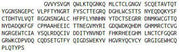 Recombinant Fibronectin (FN), RPU50374
