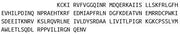 Recombinant Na-Cl Cotransporter (NCCT), RPU50386