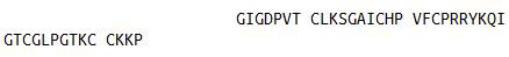 Recombinant Defensin Beta 2 (DEFb2), RPU50407