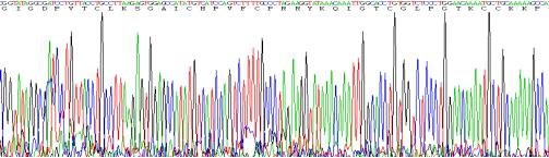 Recombinant Human Defensin Beta 2 (DEFb2)