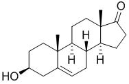 OVA Conjugated Dehydroepiandrosterone (DHEA), RPU50446