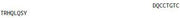 OVA Conjugated Insulin (INS), RPU50447