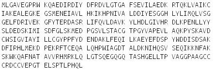 Recombinant Calcium/Calmodulin Dependent Protein Kinase I (CAMK1), RPU50499