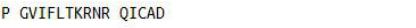OVA Conjugated Macrophage Inflammatory Protein 1 Alpha (MIP1a), RPU50515