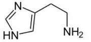 BSA Conjugated Histamine (HA), RPU50516