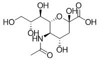 BSA Conjugated Sialic Acid (SA), RPU50522