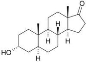 OVA Conjugated Androsterone (ADT), RPU50587