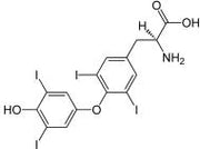 OVA Conjugated Thyroxine (T4), RPU50590