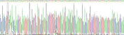 Human Interferon Gamma (IFNg), Active Protein