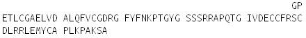 Recombinant Insulin Like Growth Factor 1 (IGF1), RPU50609