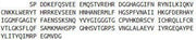 Recombinant Tankyrase 2 (TNKS2), RPU50654