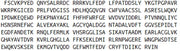 Recombinant Calpain 5 (CAPN5), RPU50720