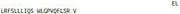 OVA Conjugated Growth Hormone (GH), RPU50754