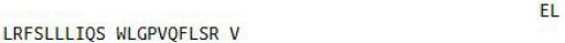 OVA Conjugated Growth Hormone (GH), RPU50754