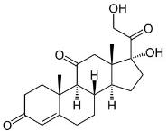 OVA Conjugated Cortisone (Cor), RPU50755