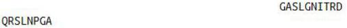 OVA Conjugated Leukemia Inhibitory Factor (LIF), RPU50757