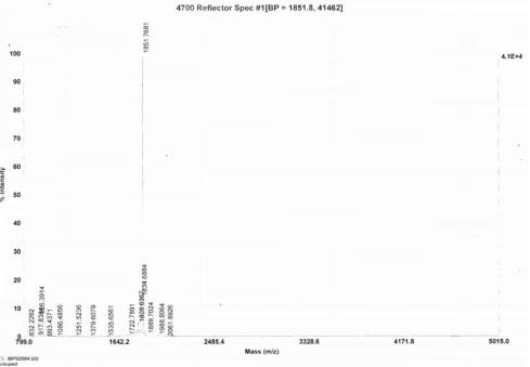OVA Conjugated Mouse Meprin A Alpha (MEP1a)
