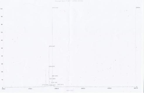 KLH Conjugated Human Inhibin Alpha (INHa)