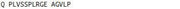 KLH Conjugated C-Peptide (CP), RPU50775