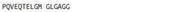KLH Conjugated C-Peptide (CP), RPU50776
