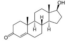 BSA Conjugated Testosterone (Testo), RPU50783