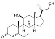 BSA Conjugated Corticosterone (Cort), RPU50792