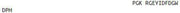 OVA Conjugated Epidermal Growth Factor (EGF), RPU50797