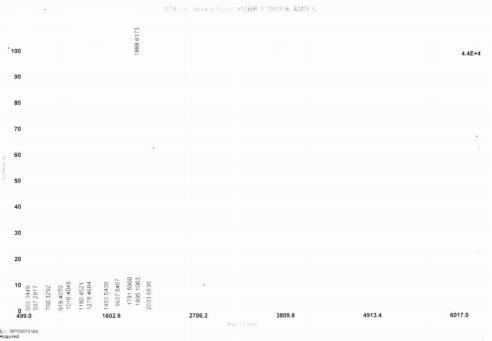 OVA Conjugated Bovine Epidermal Growth Factor (EGF)