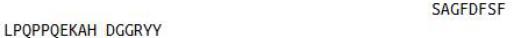 OVA Conjugated Procollagen I C-Terminal Propeptide (PICP), RPU50798